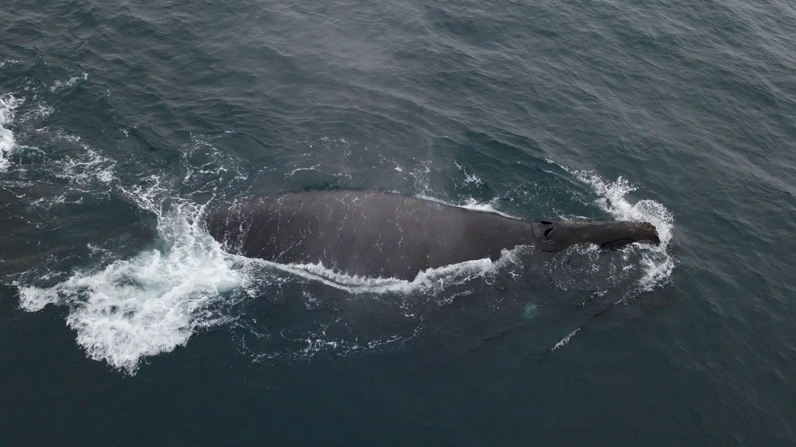 Курильские острова, июль 2022