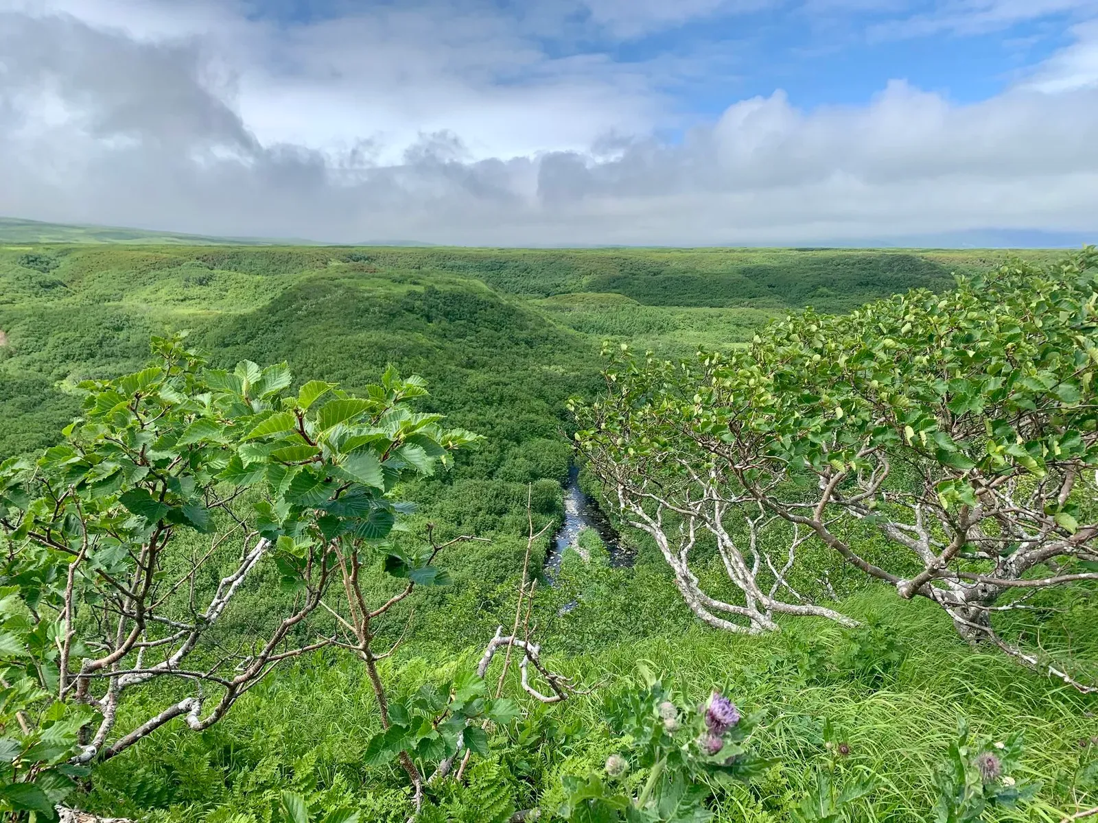 Курильские острова, июль 2022