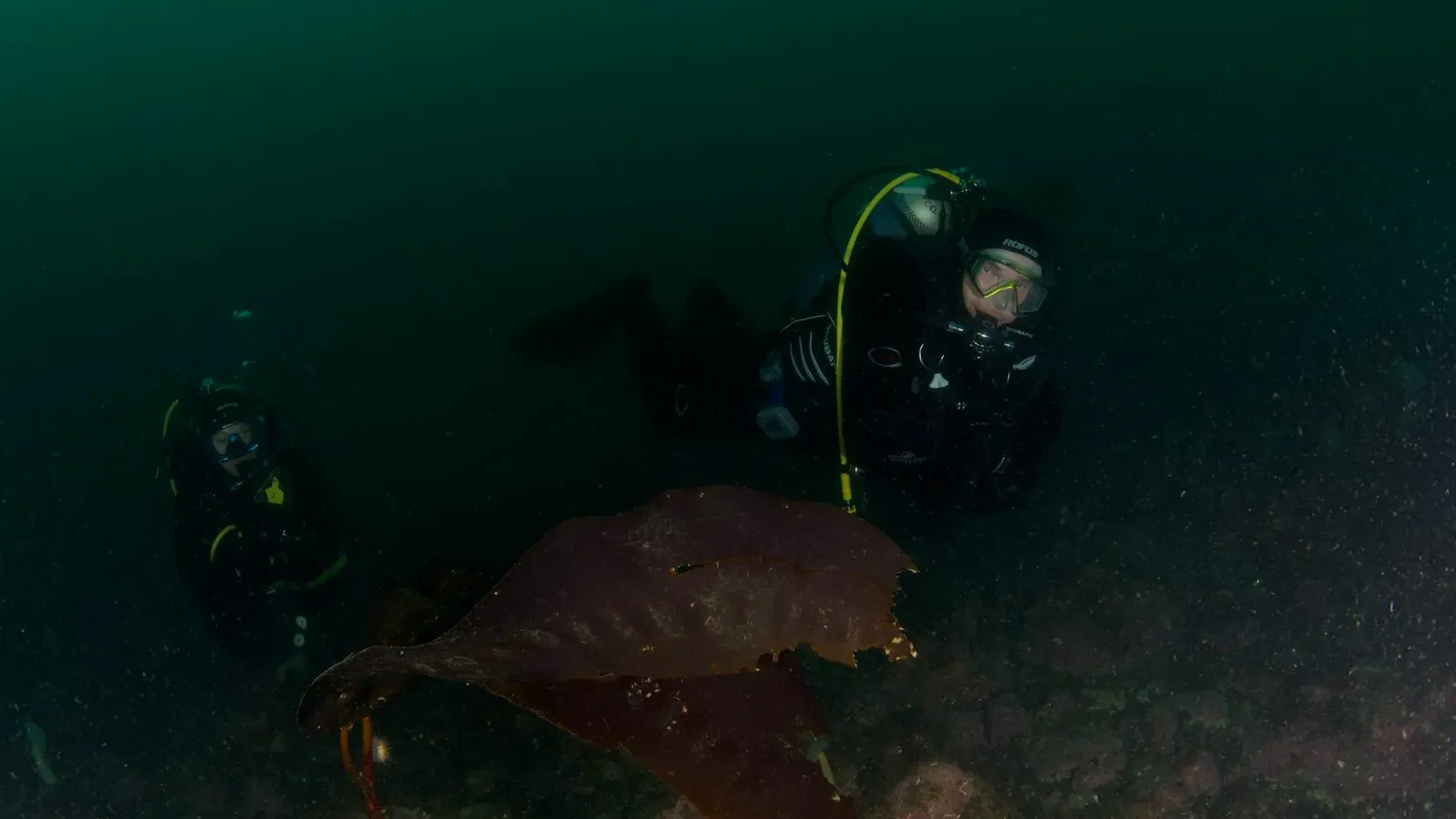 Курильские острова, июль 2022