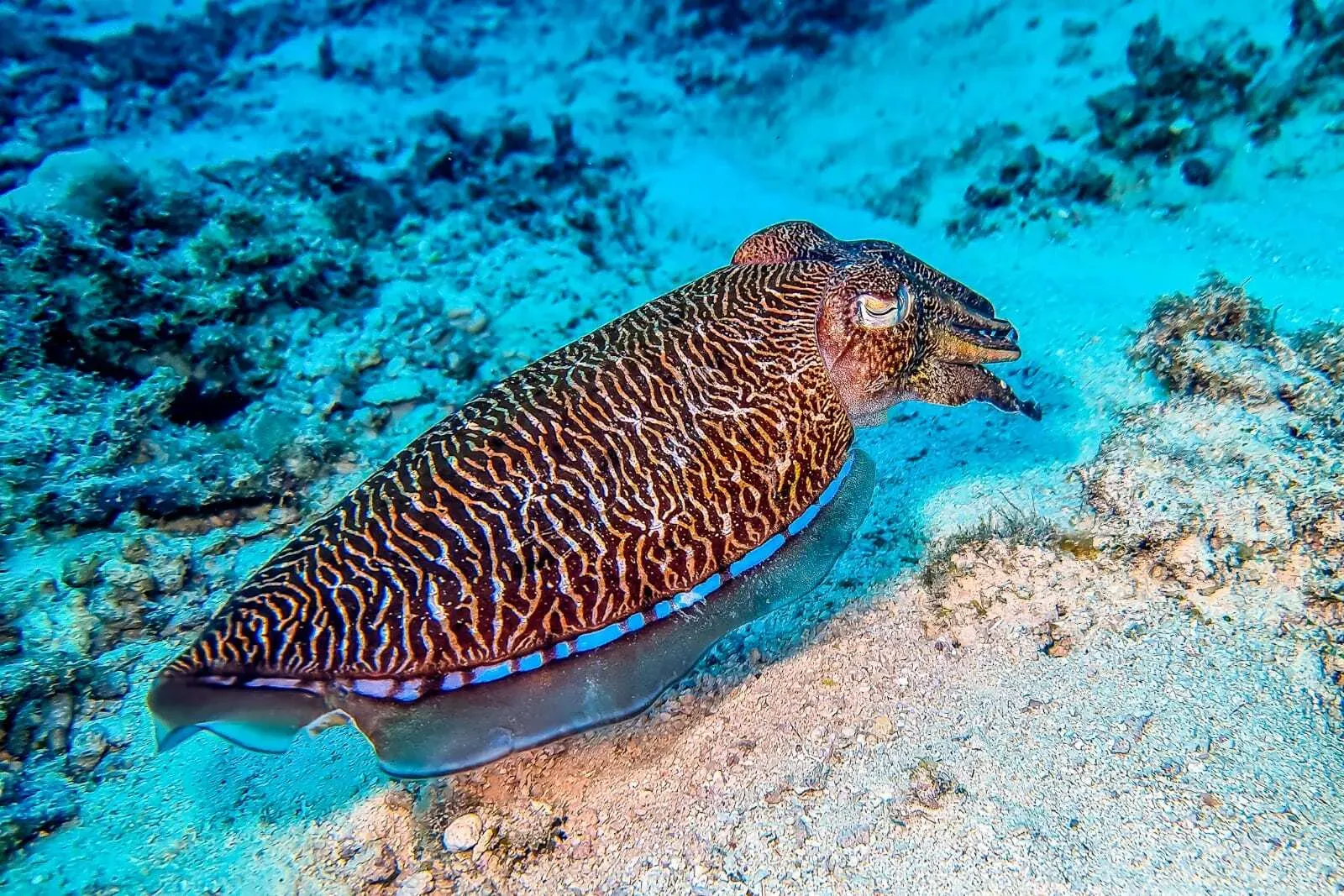 Мальдивы, октябрь 2021