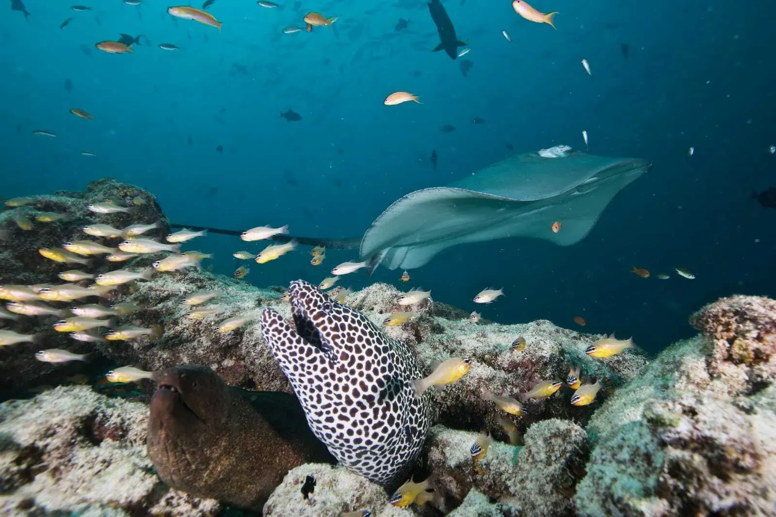 Мальдивы, октябрь 2021