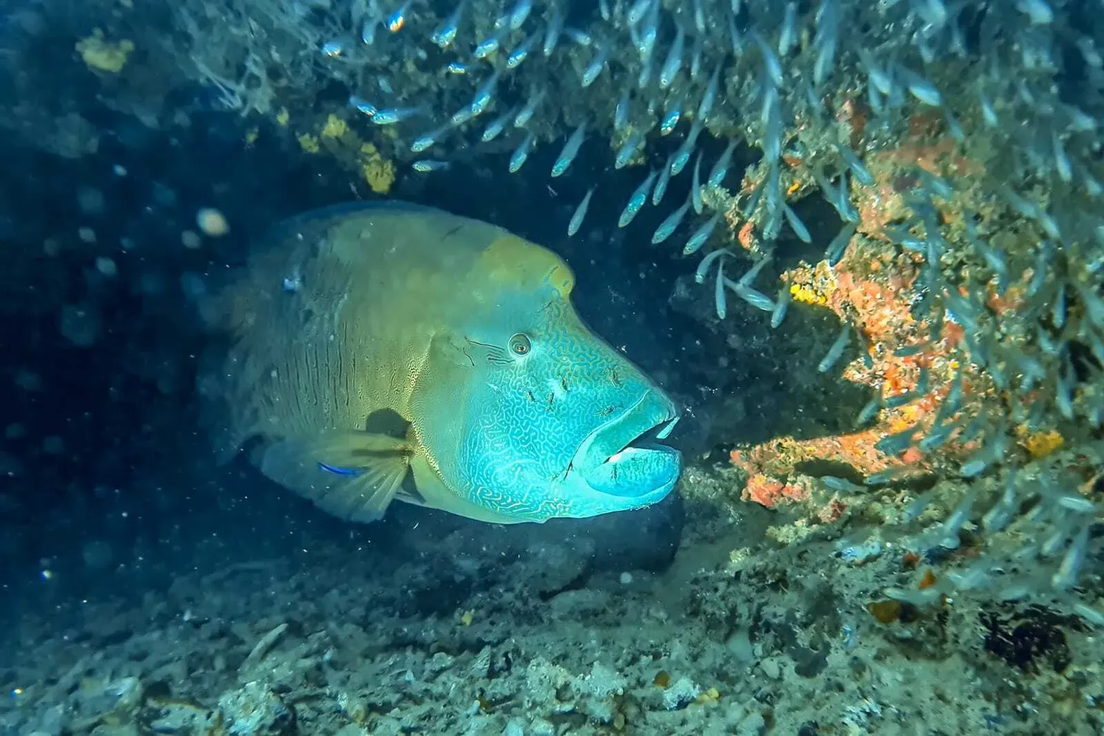 Мальдивы, октябрь 2021