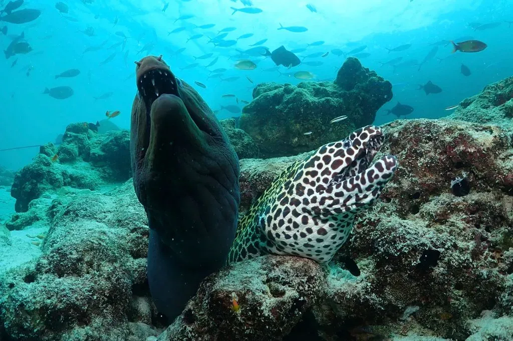 Мальдивы, октябрь 2021