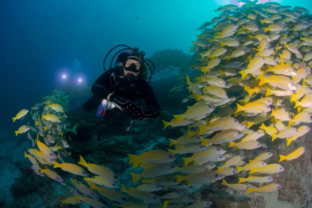 Мальдивы, декабрь 2024