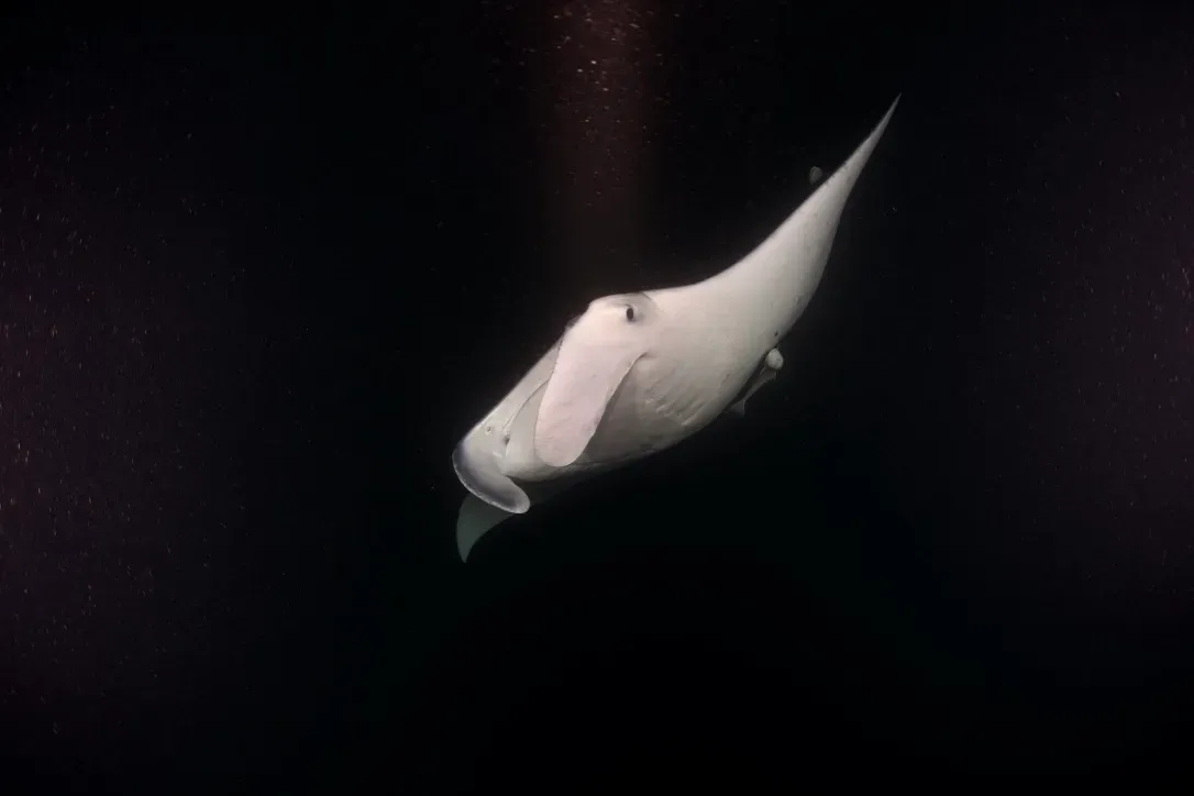 Мальдивы, декабрь 2024