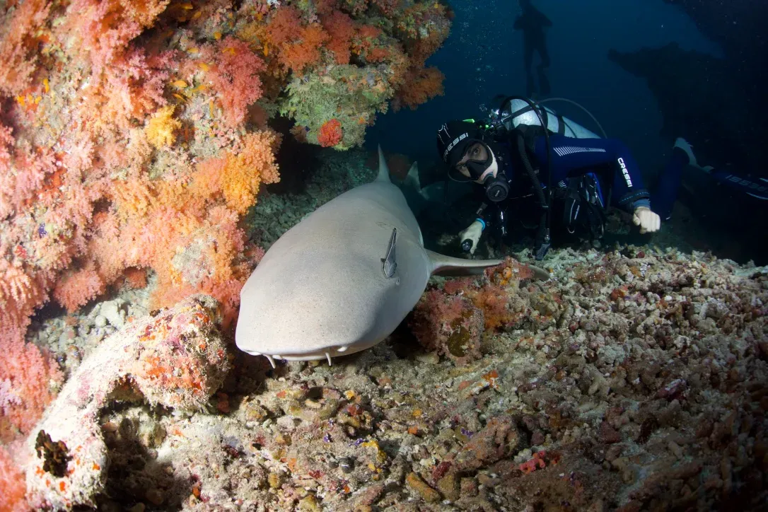 Мальдивы, декабрь 2024