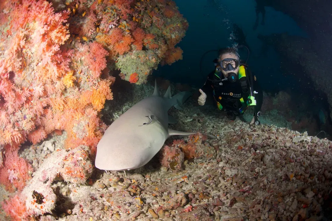 Мальдивы, декабрь 2024