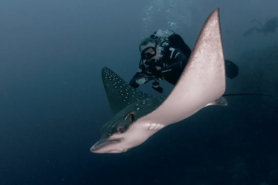 Мальдивы, декабрь 2024