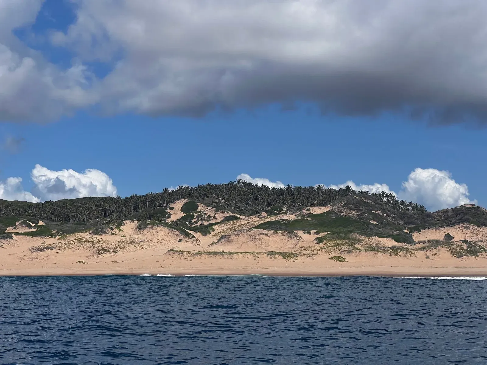 Мозамбик, январь 2024