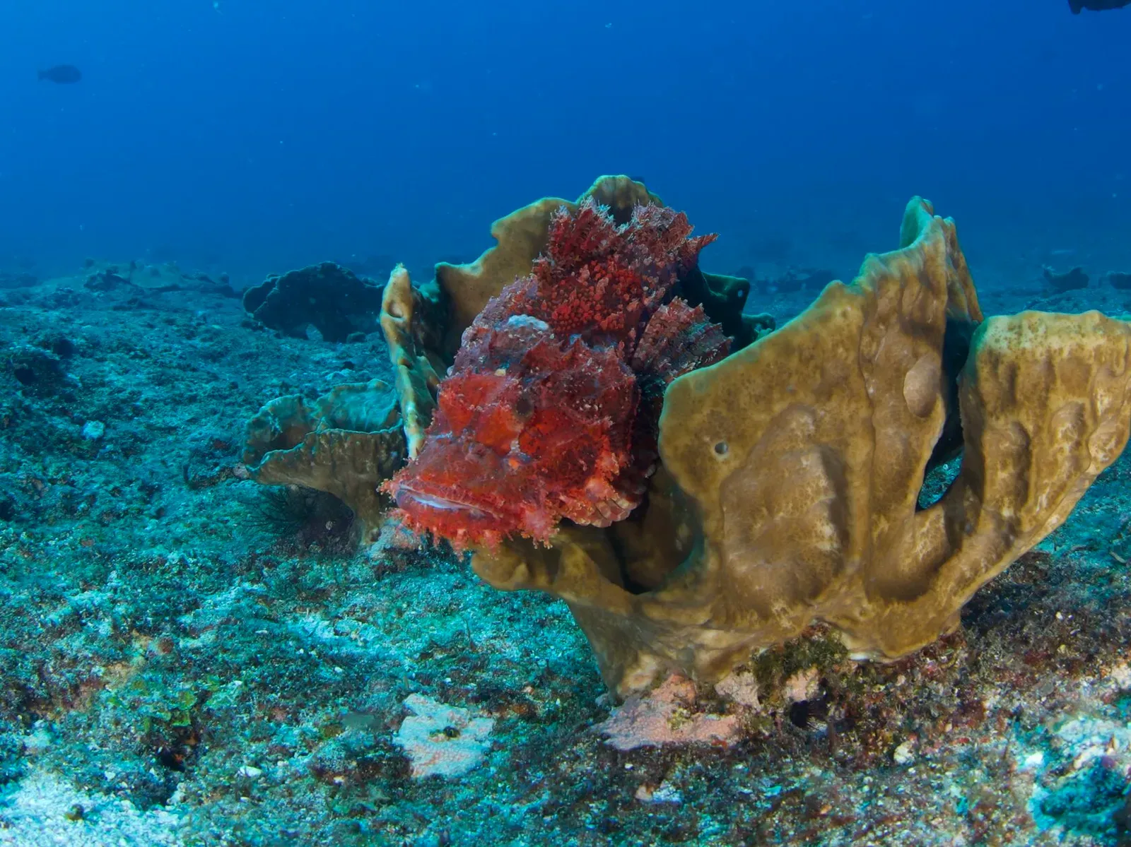 Мозамбик, январь 2024