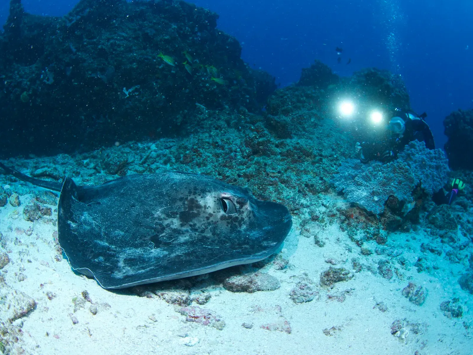 Мозамбик, январь 2024