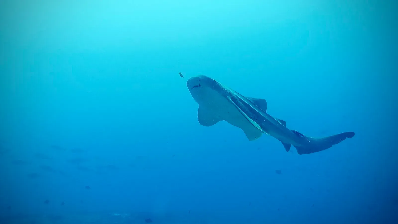 Мозамбик, январь 2024