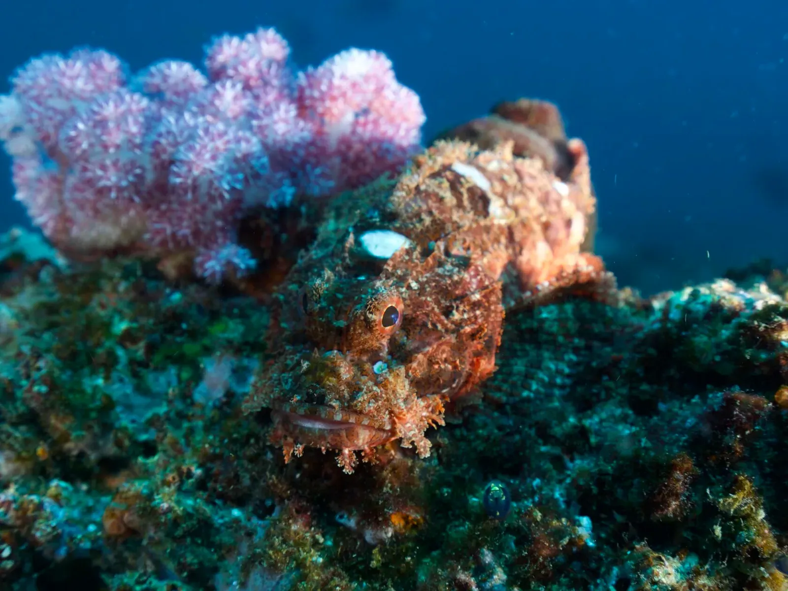 Мозамбик, январь 2024