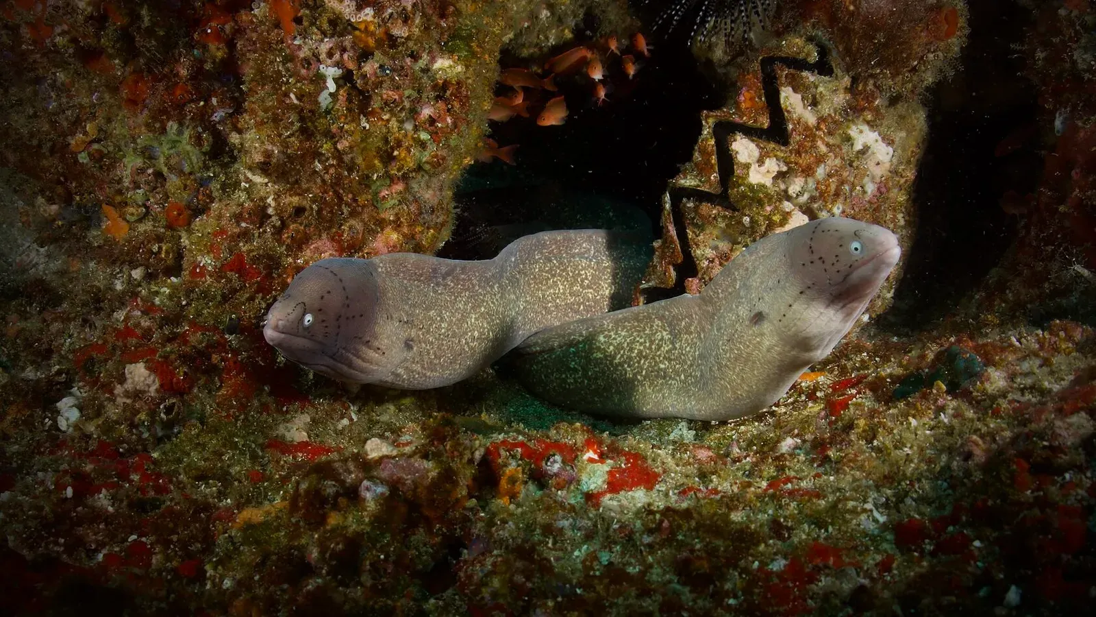 Мозамбик, январь 2024