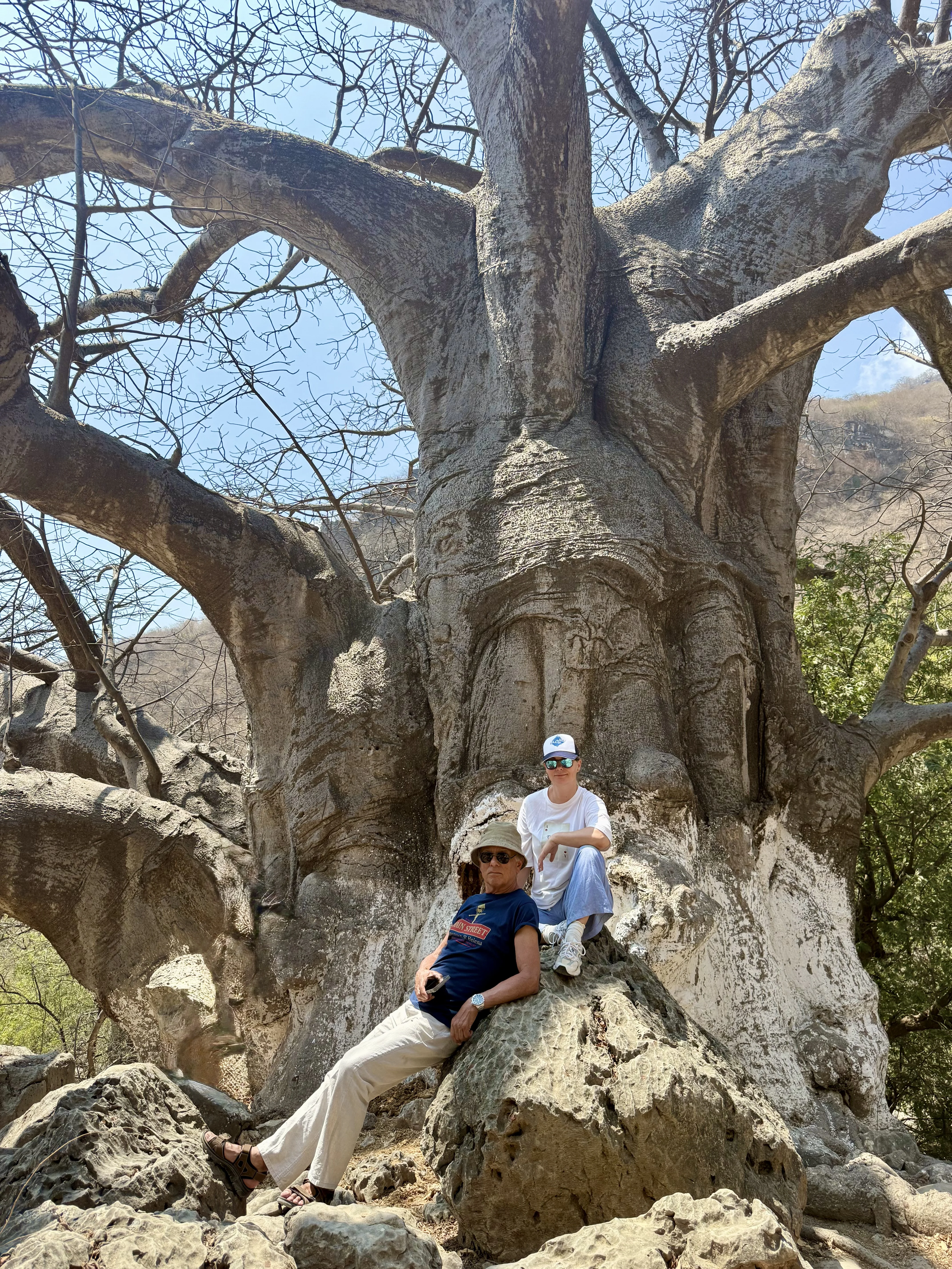 Баобаб — двое у подножия гигантского дерева