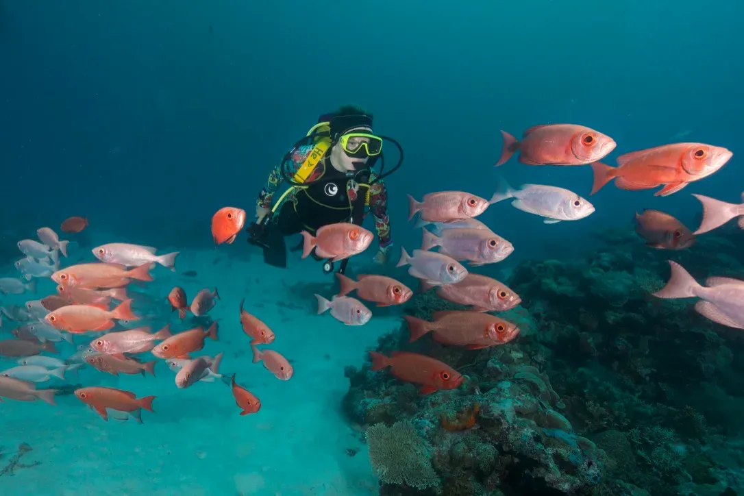 Палау, май 2025