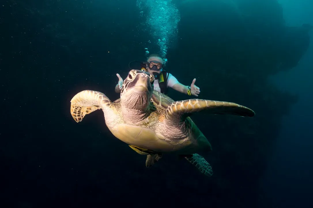 Палау, май 2025