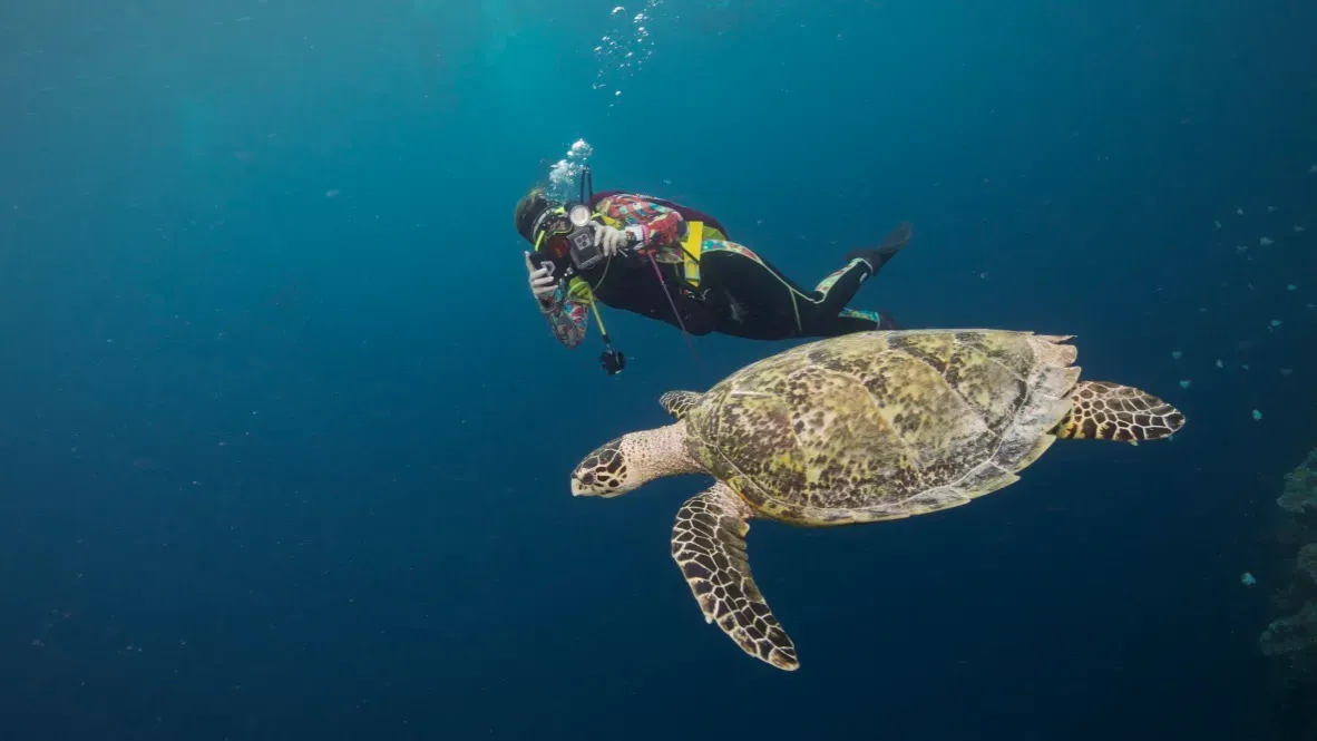 Палау, май 2025