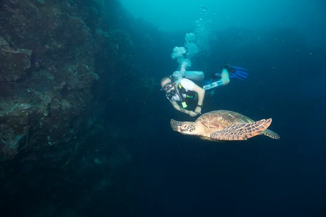 Палау, май 2025