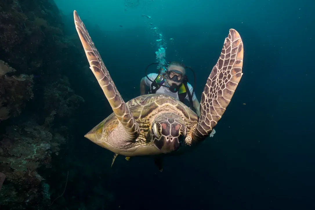 Палау, май 2025