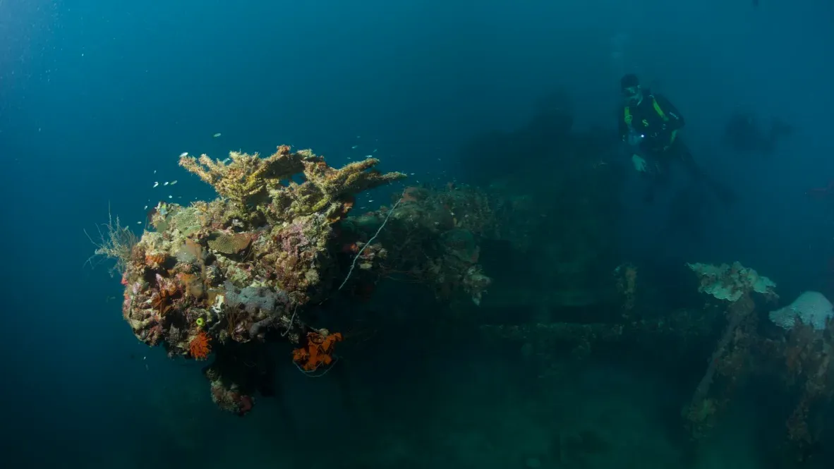 Палау, май 2025