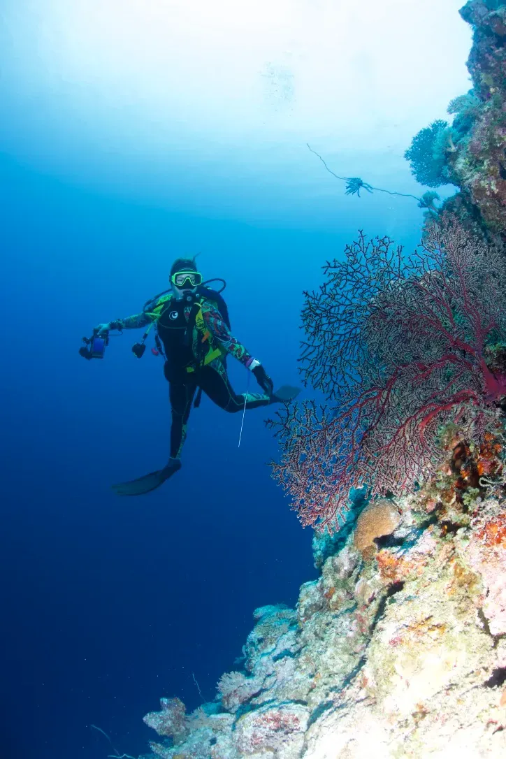 Палау, май 2025