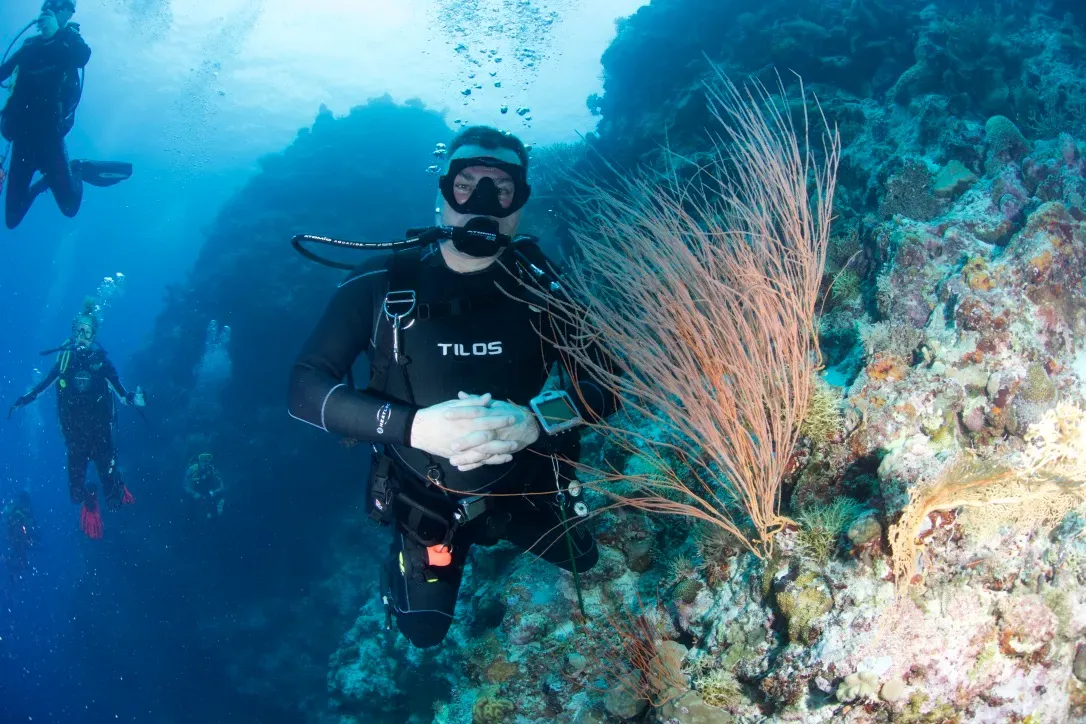 Палау, май 2025