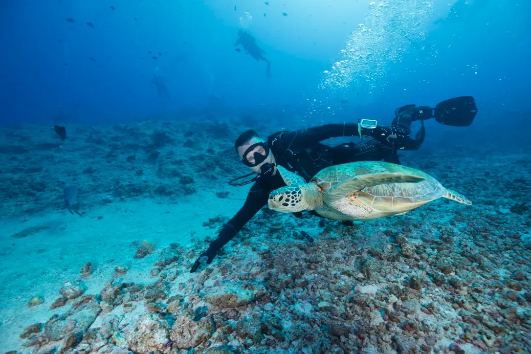 Палау, май 2025