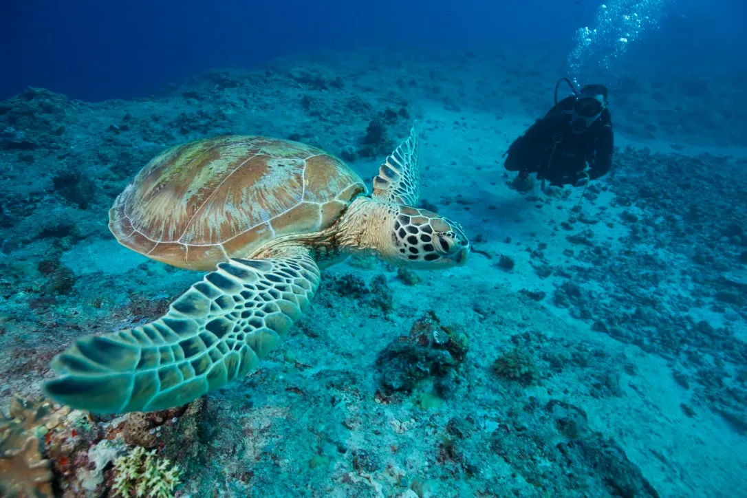 Палау, май 2025