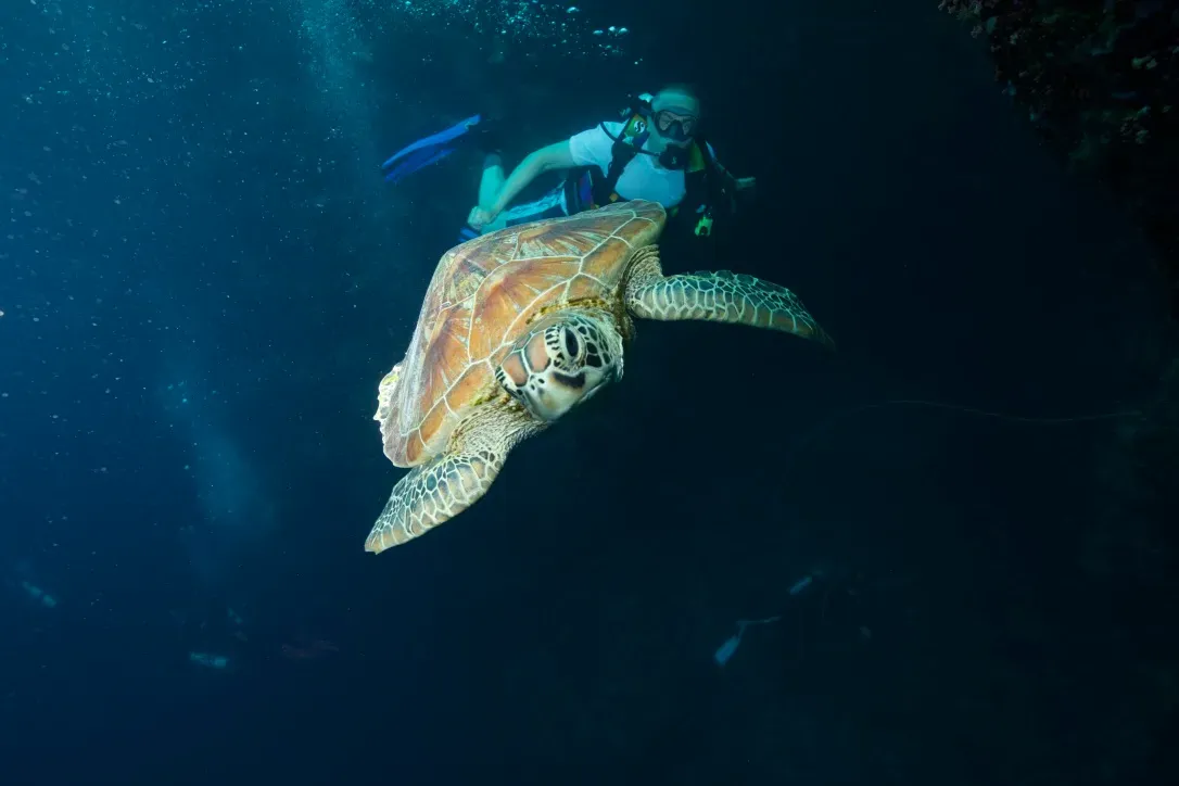 Палау, май 2025