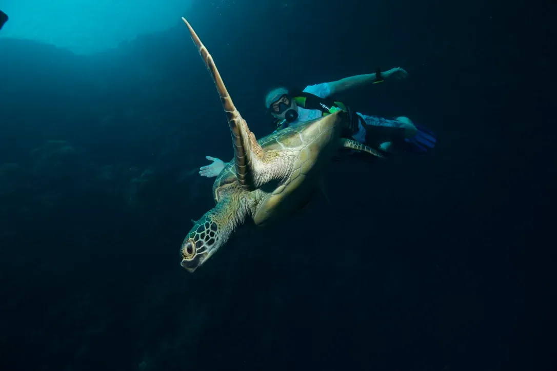 Палау, май 2025