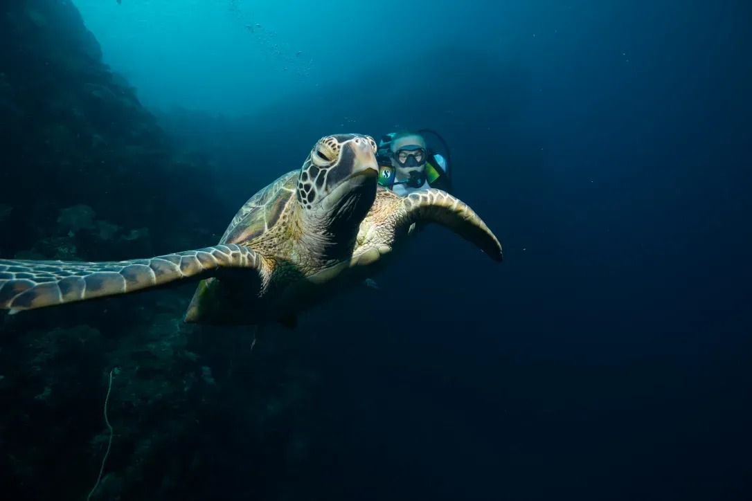 Палау, май 2025