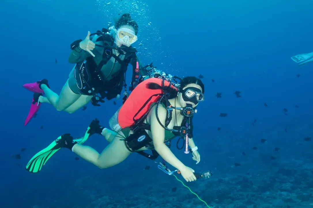 Палау, май 2025