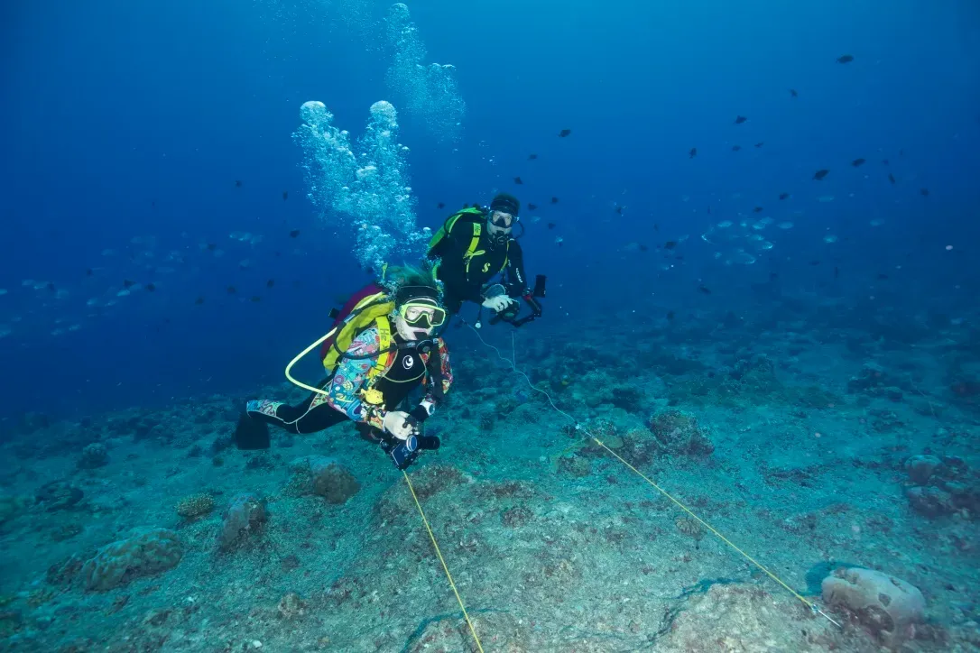 Палау, май 2025