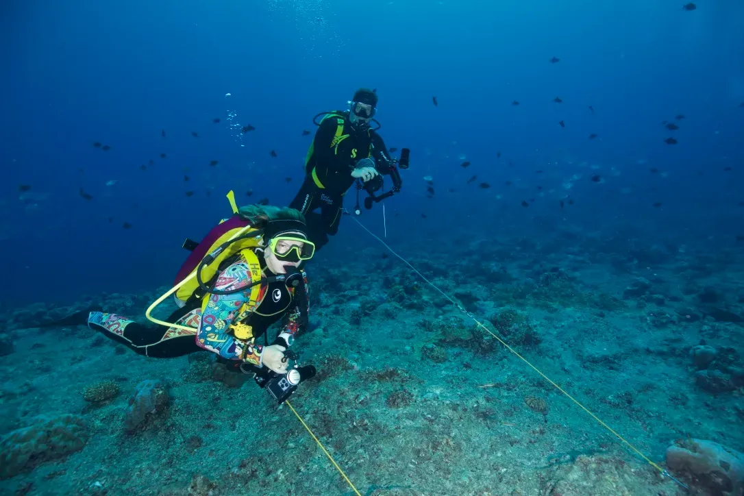 Палау, май 2025