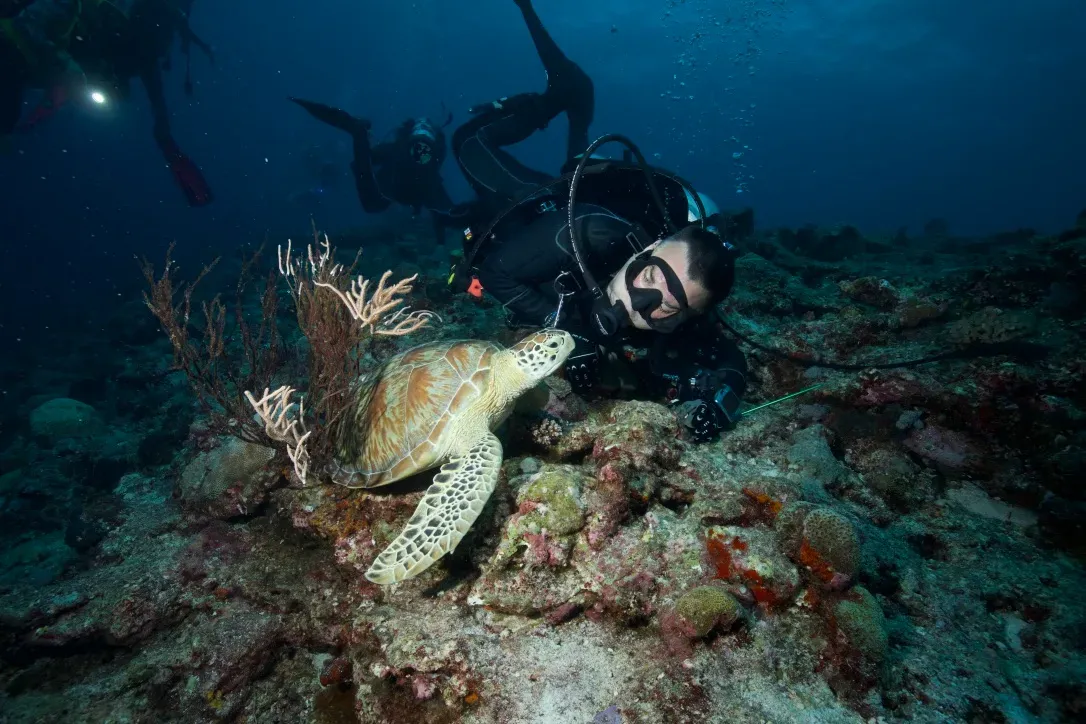 Палау, май 2025