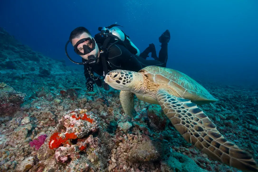 Палау, май 2025