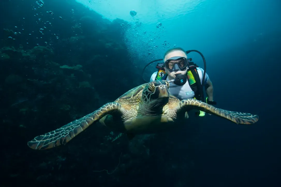 Палау, май 2025