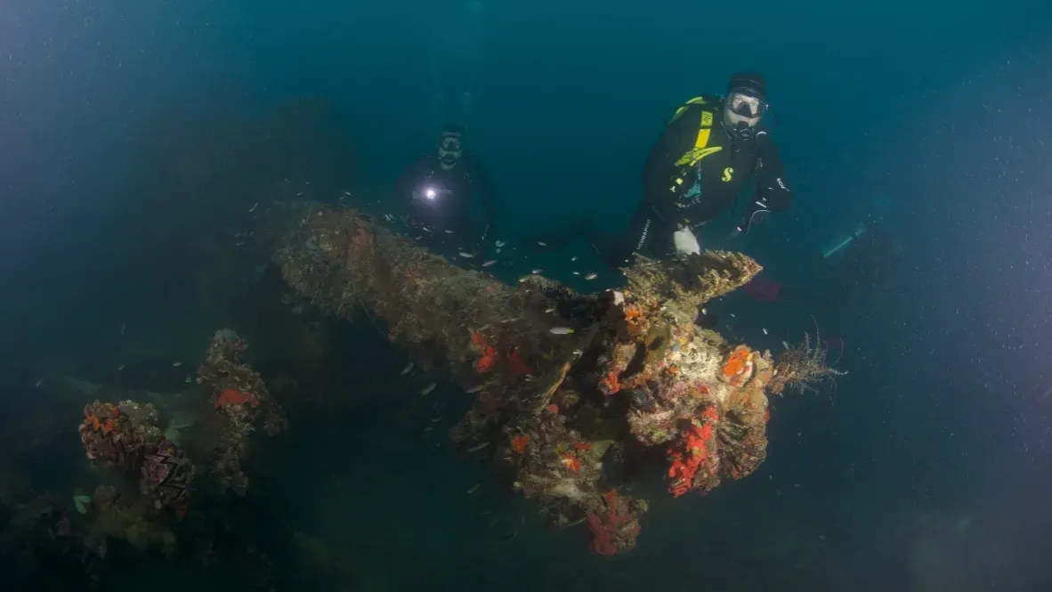 Палау, май 2025