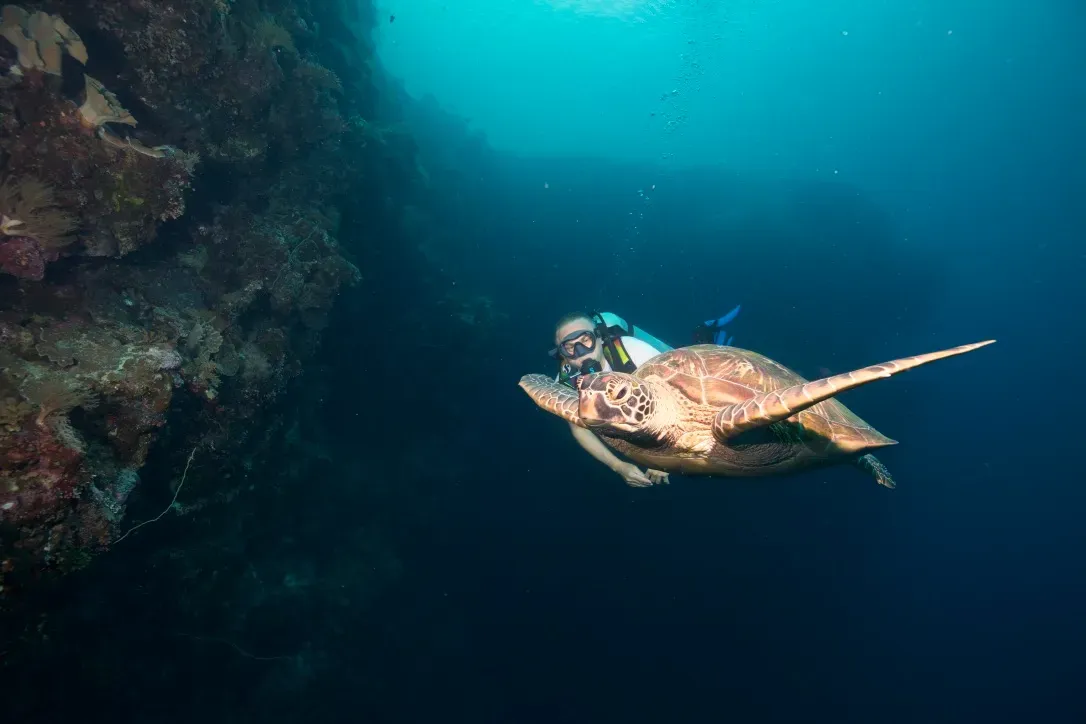 Палау, май 2025