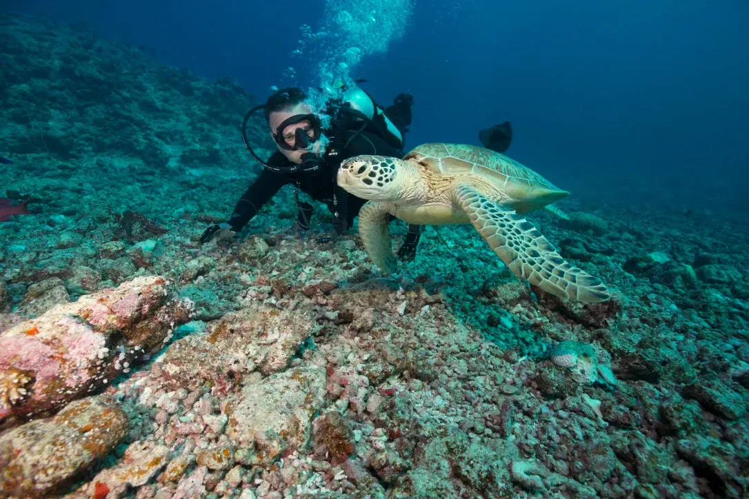 Палау, май 2025