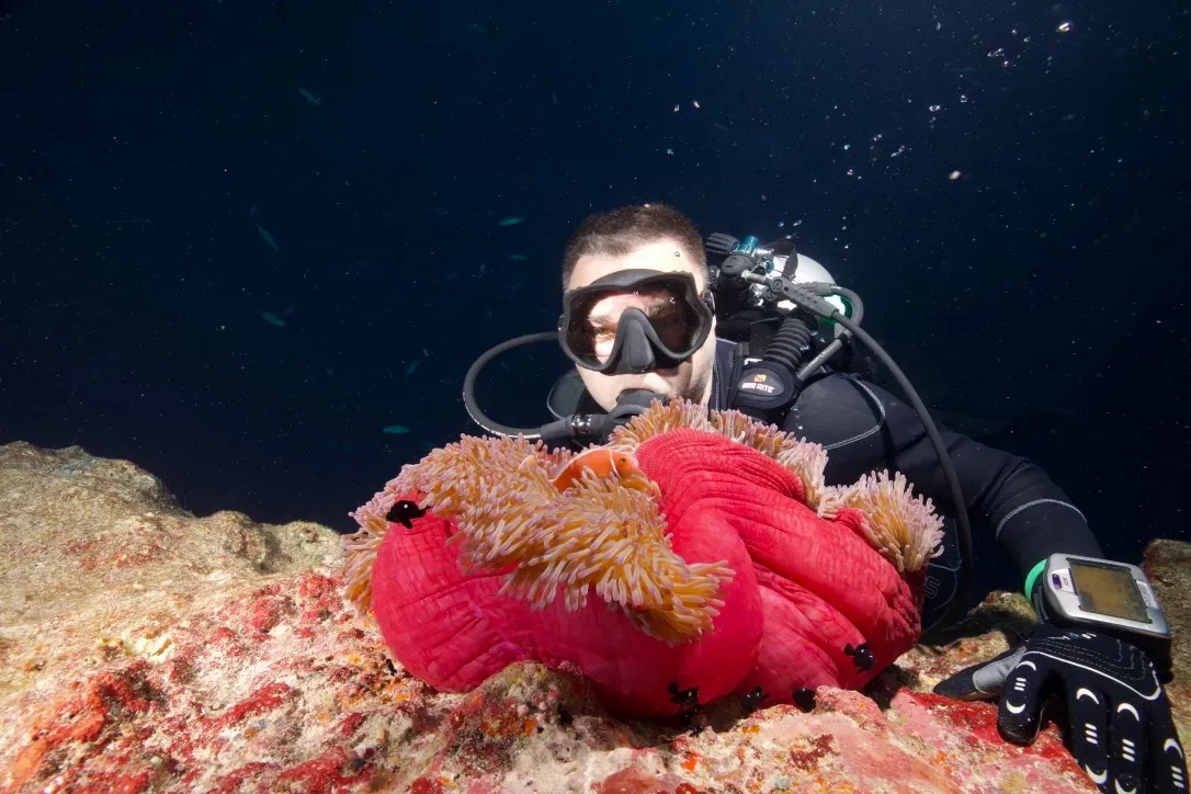 Палау, май 2025