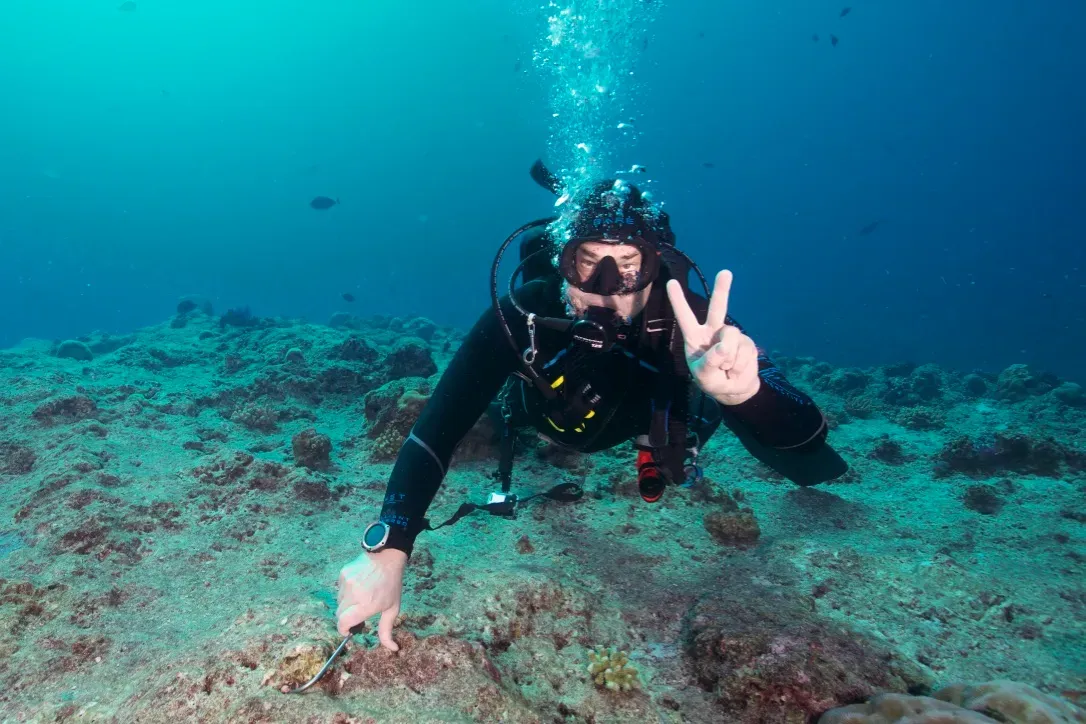 Палау, май 2025