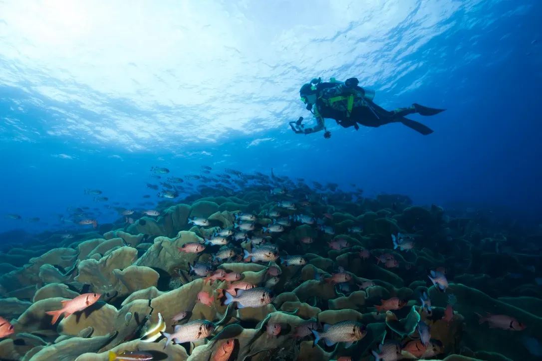 Палау, май 2025