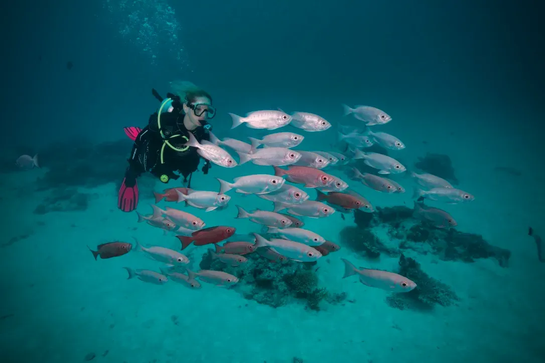 Палау, май 2025