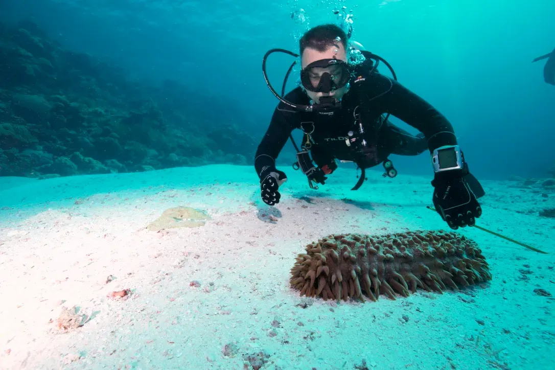 Палау, май 2025