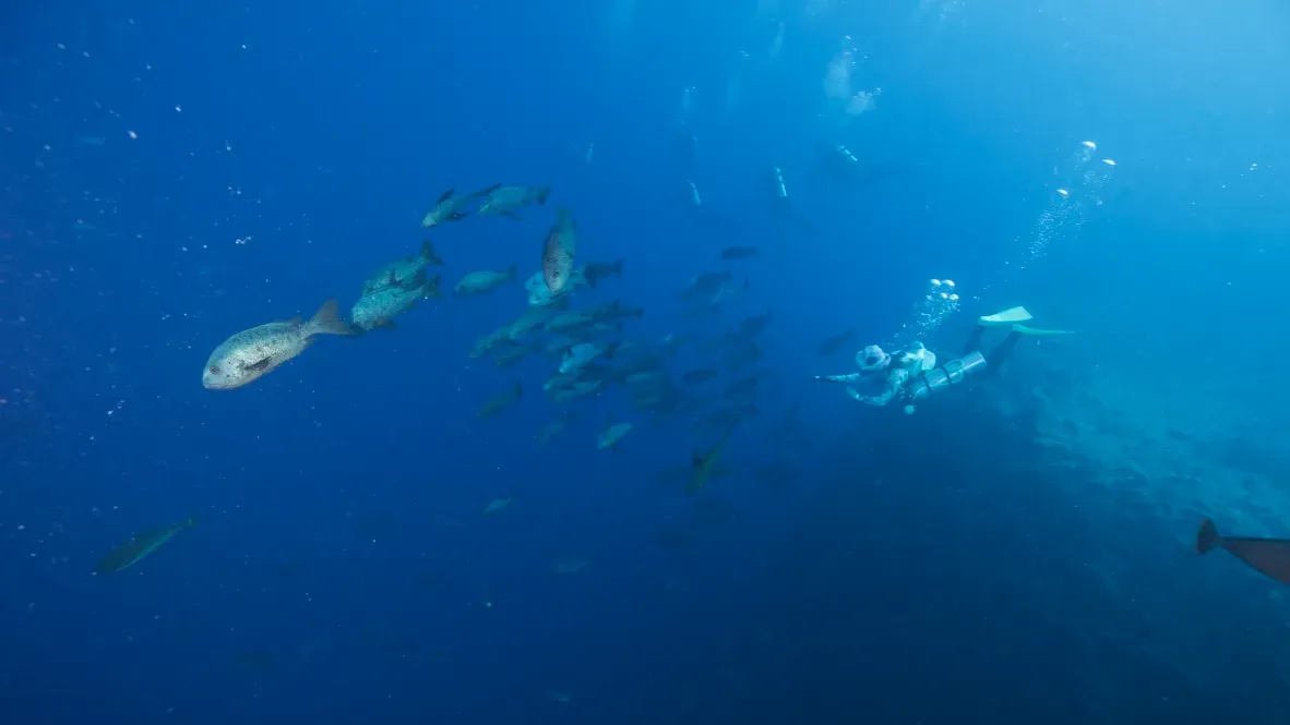 Палау, май 2025