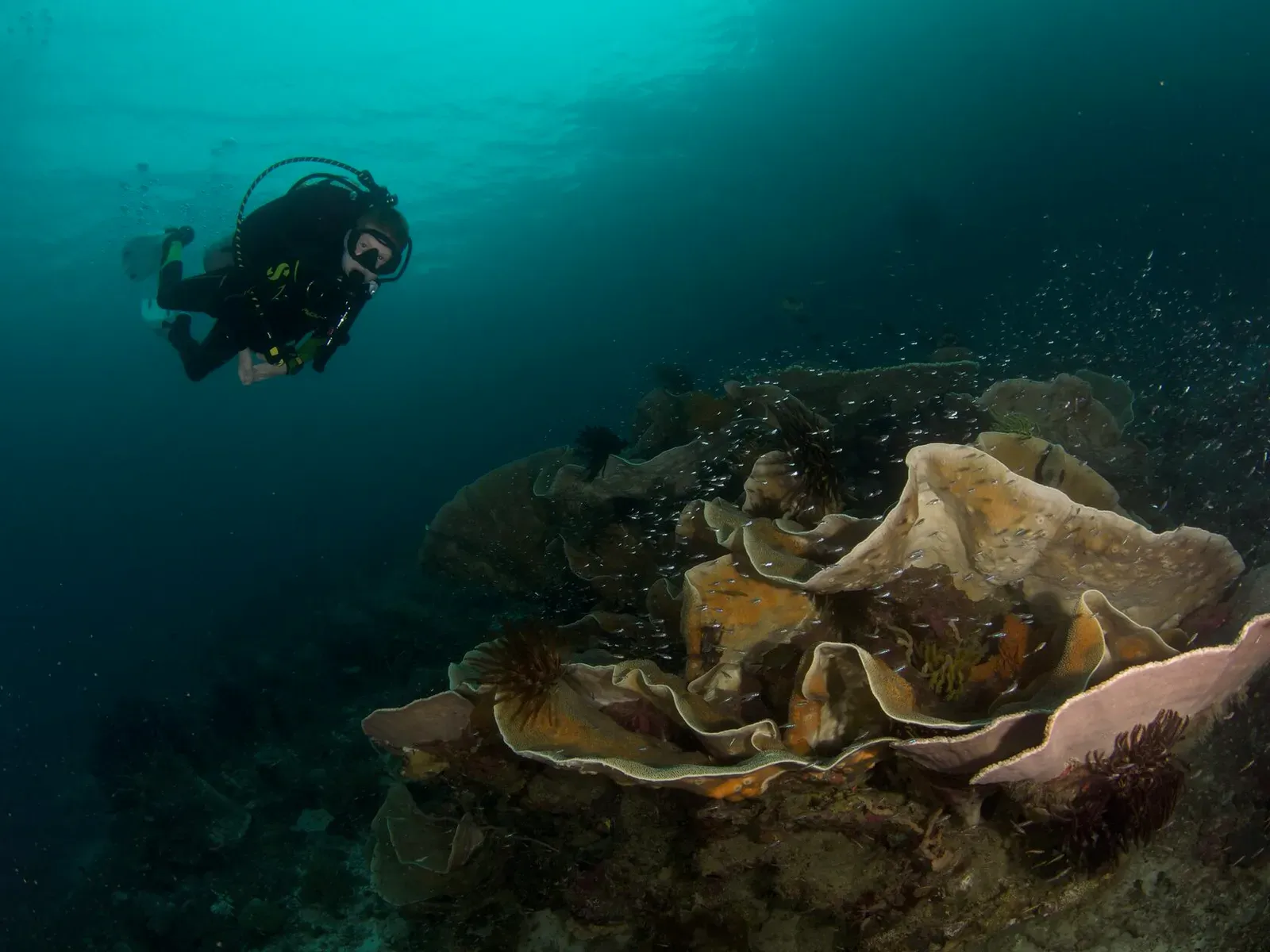 Папуа, январь 2023