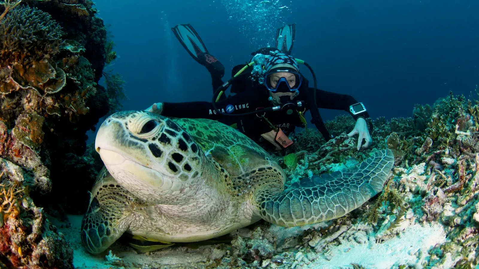 Папуа, январь 2023