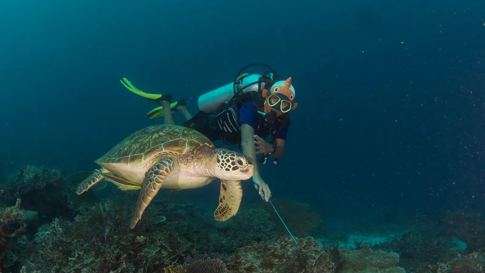 Папуа, январь 2023